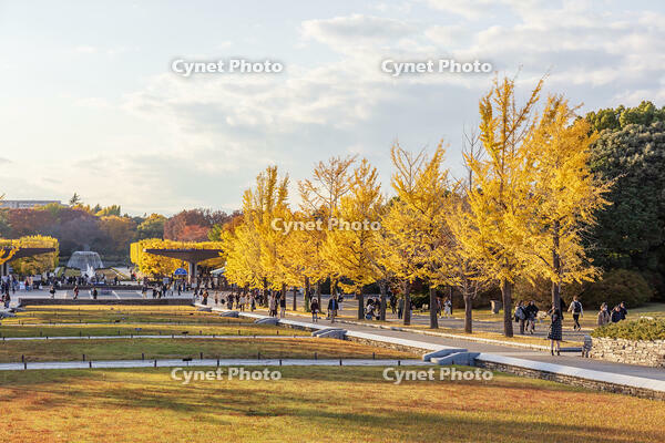 国営昭和記念公園の立川口 [KNO110023576]