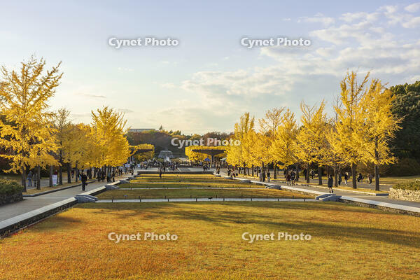 国営昭和記念公園の立川口 [KNO110023577]