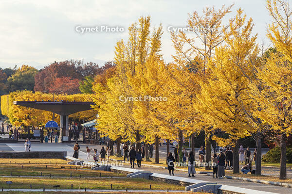 国営昭和記念公園の立川口 [KNO110023578]