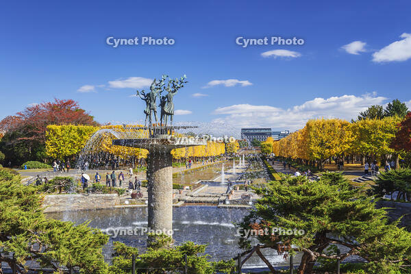 国営昭和記念公園のイチョウ並木 [KNO110023623]