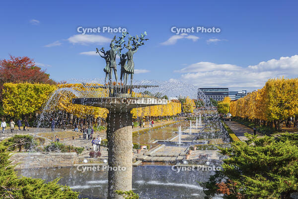 国営昭和記念公園のイチョウ並木 [KNO110023624]