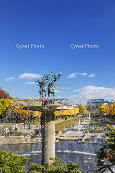 国営昭和記念公園のイチョウ並木 [KNO110023625]