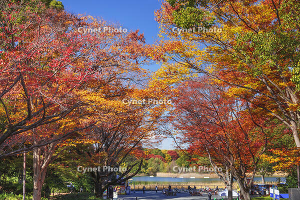 国営昭和記念公園 [KNO110023649]