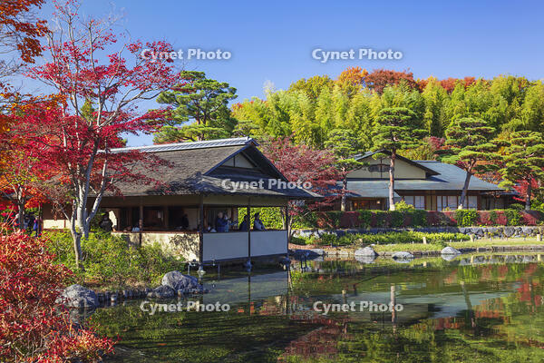 国営昭和記念公園の日本庭園 [KNO110023656]