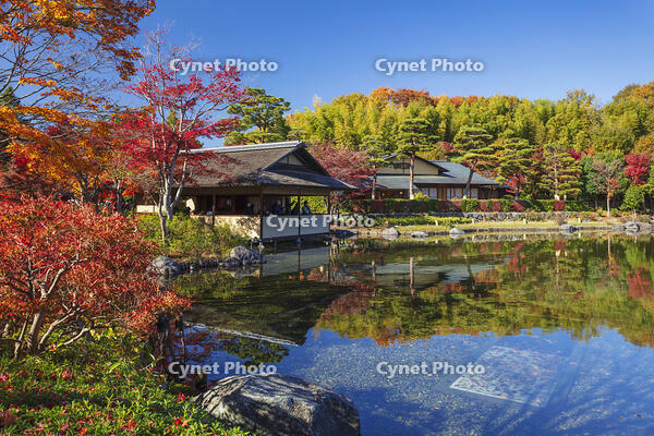 国営昭和記念公園の日本庭園 [KNO110023657]