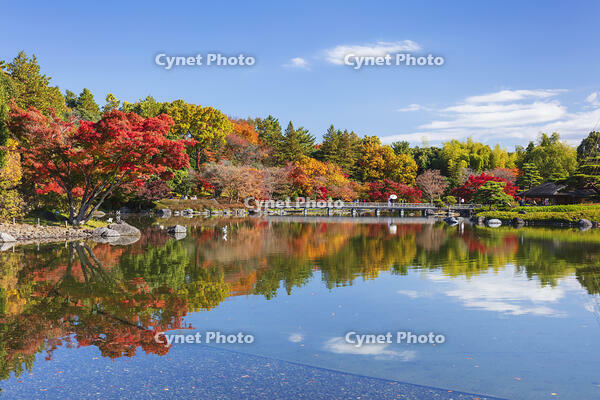 国営昭和記念公園の日本庭園 [KNO110023658]