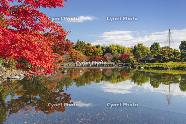 国営昭和記念公園の日本庭園 [KNO110023659]