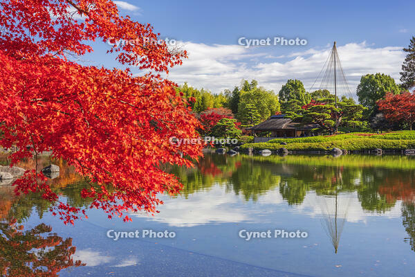 国営昭和記念公園の日本庭園 [KNO110023661]