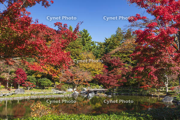 国営昭和記念公園の日本庭園　【画像修正：人物を消去】 [KNO110023664]