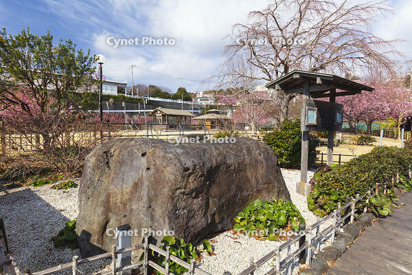 稲取の築城石 [KNO110024362]