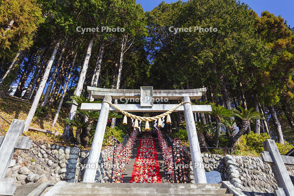 素盞鳴神社雛段飾り [KNO110024368]