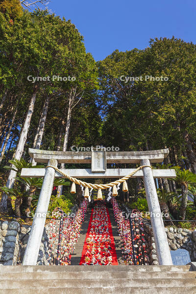 素盞鳴神社雛段飾り [KNO110024369]
