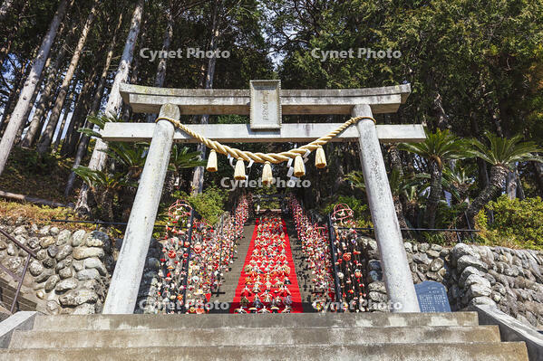 素盞鳴神社雛段飾り [KNO110024370]