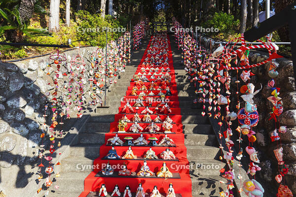 素盞鳴神社雛段飾り [KNO110024372]