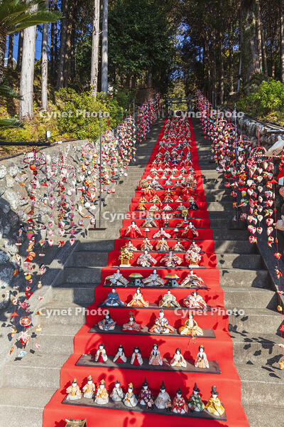素盞鳴神社雛段飾り [KNO110024373]