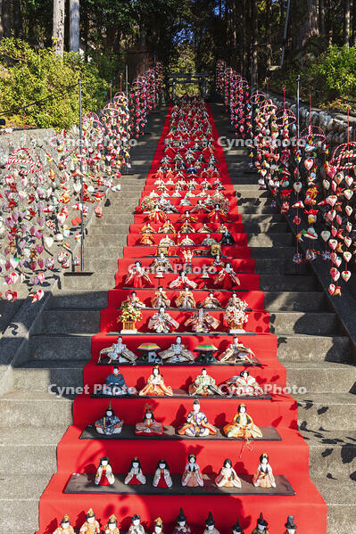 素盞鳴神社雛段飾り [KNO110024374]