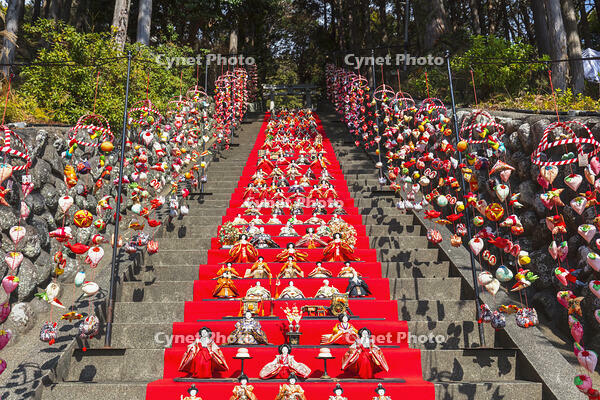 素盞鳴神社雛段飾り [KNO110024376]