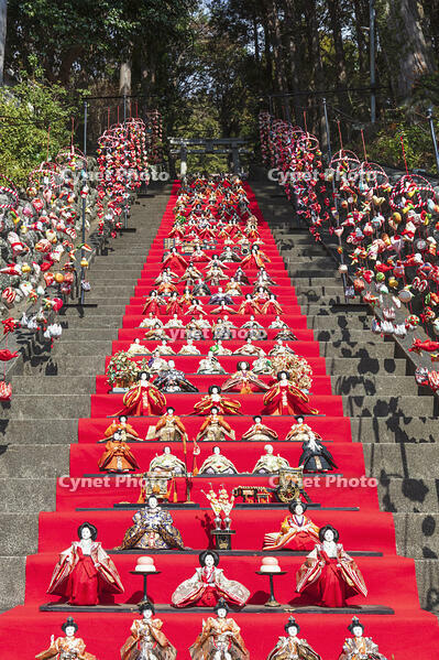 素盞鳴神社雛段飾り [KNO110024377]