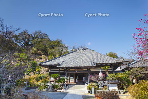 了仙寺 [KNO110024408]