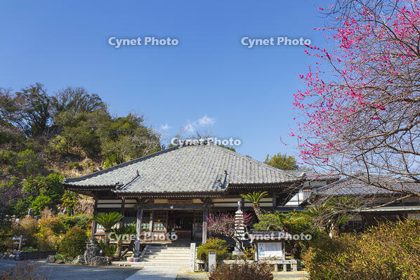 了仙寺 [KNO110024409]