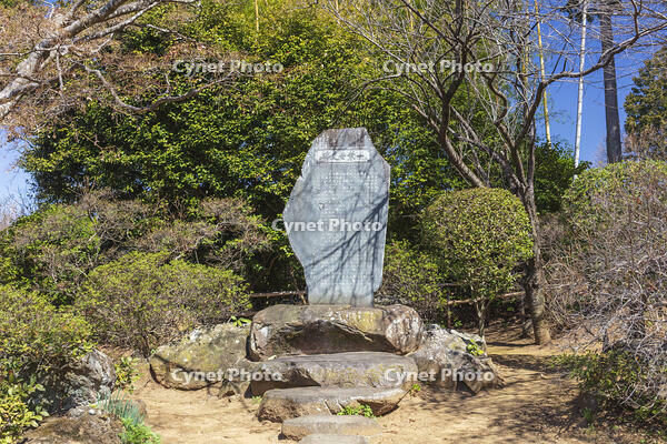 慈雲寺の樋口一葉女史文学碑 [KNO110024720]