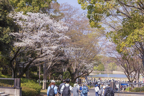 昭和記念公園 [KNO110024764]
