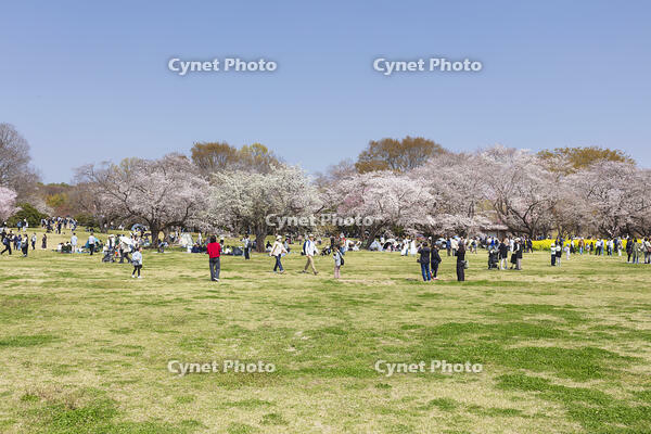 昭和記念公園 [KNO110024766]