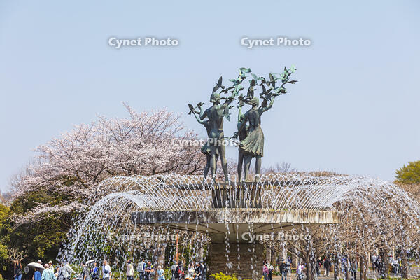 昭和記念公園の噴水 [KNO110024785]