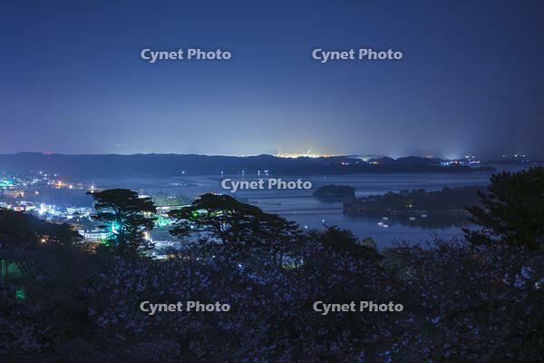 西行戻しの松公園より望む松島湾の夜景 [KNO110025086]