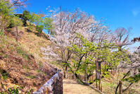 東京都　多摩森林科学園 [KHI110015165]