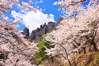 群馬県　桜咲く妙義公園さくらの里 [KHI110015256]