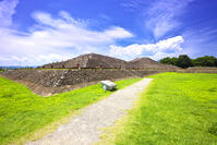八幡塚古墳　群馬県 [KHI110015633]
