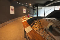 八幡塚古墳　舟形石棺　群馬県 [KHI110015650]