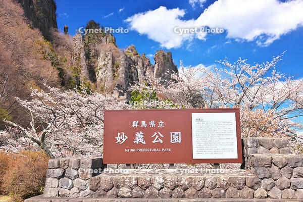 群馬県　桜咲く妙義公園さくらの里 [KHI110015258]