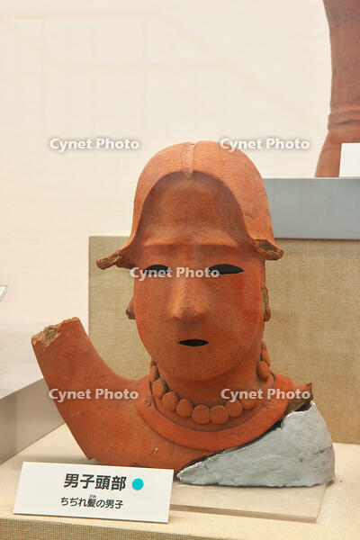 男子頭部　埴輪　埼玉県 [KHI110015691]