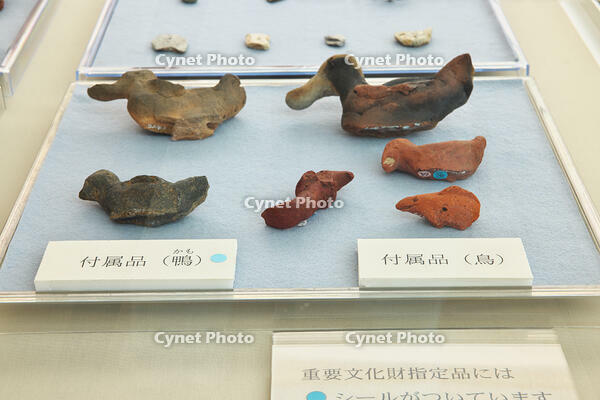 土器　埼玉県 [KHI110015719]