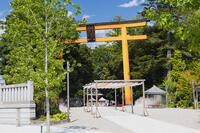 氷川神社 [KTO110004097]