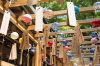 氷川神社の絵馬のトンネル [KTO110004099]