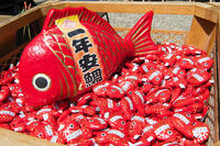 氷川神社 [KTO110004102]