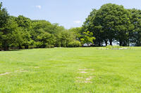 芝生の公園 [KTO110004105]