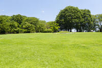 アユの炭焼き [KTO110004107]