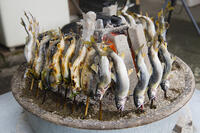 夏の大内宿 [KTO110004109]