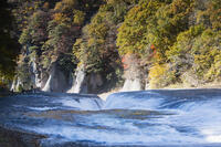 秋の吹き割の滝 [KTO110004143]