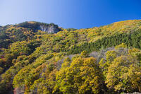 秋の山 [KTO110004146]