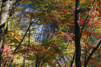 秋の吹き割の滝 [KTO110004148]