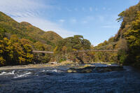 秋の吹き割の滝 [KTO110004149]