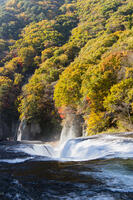 秋の吹き割の滝 [KTO110004150]