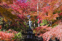 秩父御嶽神社東郷元帥像 [KTO110004158]
