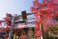 紅葉する秩父御嶽神社 [KTO110004161]