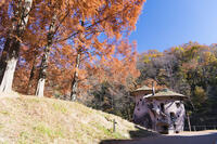 トーベヤンソンあけぼの子どもの森 [KTO110004164]